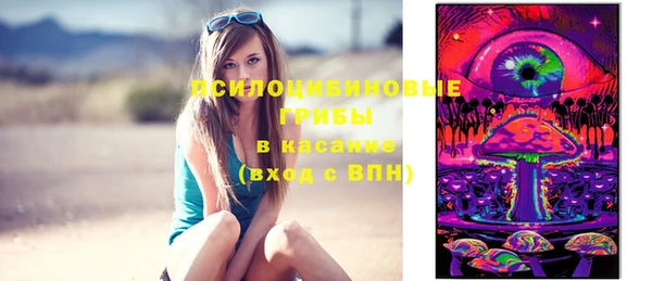 сатива Абдулино