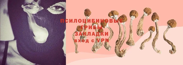 трава Абаза