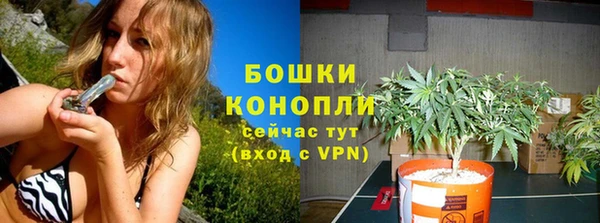 трава Абаза
