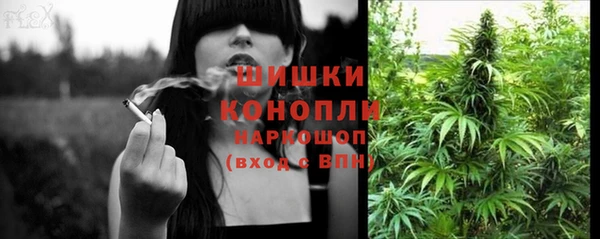 сатива Абдулино