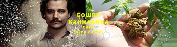 трава Абаза
