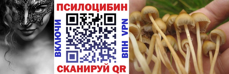 Псилоцибиновые грибы Magic Shrooms Сорск